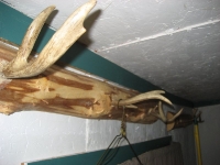 CabinFever 023